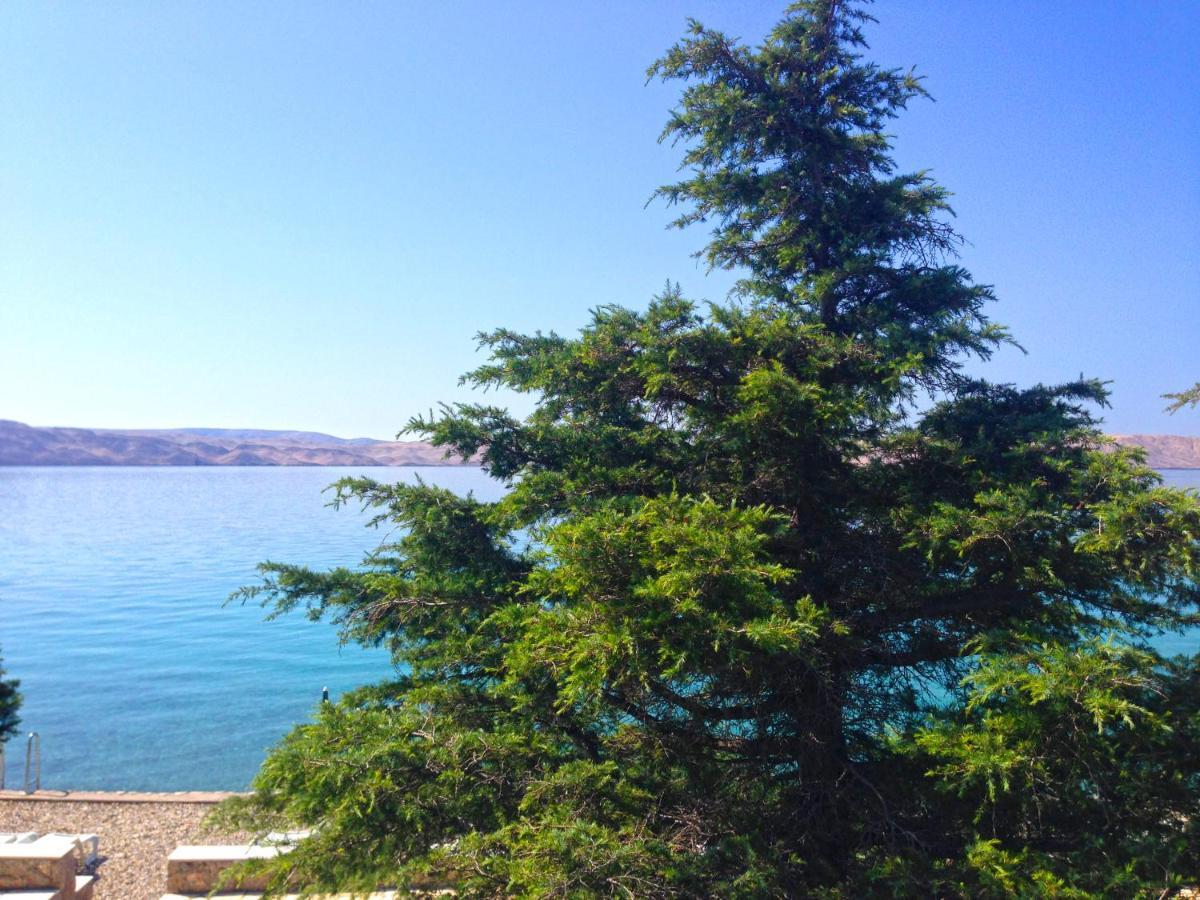Apartmani Ribarica**** كارلوباغ المظهر الخارجي الصورة